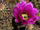photo thumbnail #12