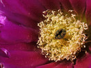 photo thumbnail #13