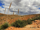 photo thumbnail #14