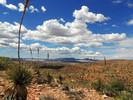 photo thumbnail #15