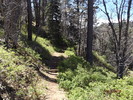 photo thumbnail #11