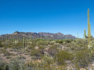 photo thumbnail #2