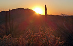 photo thumbnail #11