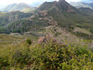 2016-04-09 :1: Saddle Mountain - Mazatzals :: FLYING_FLIVER