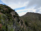 photo thumbnail #11