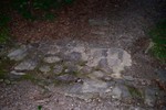 photo thumbnail #14