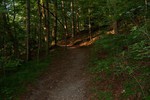 photo thumbnail #15