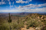 photo thumbnail #1