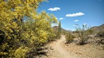 photo thumbnail #3
