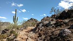 photo thumbnail #5