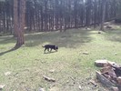 photo thumbnail #4