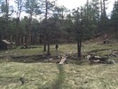 photo thumbnail #5
