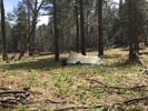 photo thumbnail #7