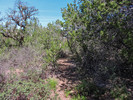 photo thumbnail #9