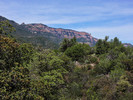 photo thumbnail #11