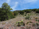 photo thumbnail #15