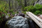photo thumbnail #4