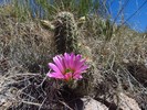photo thumbnail #7