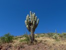 photo thumbnail #14