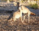 photo thumbnail #13