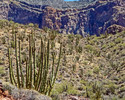 photo thumbnail #6