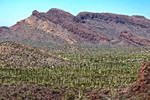 photo thumbnail #7