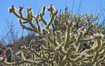 photo thumbnail #8