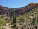 photo thumbnail #11