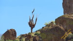 photo thumbnail #14