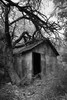 photo thumbnail #10