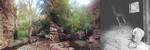 photo thumbnail #15