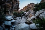 photo thumbnail #5