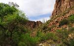 photo thumbnail #2