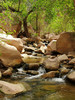 photo thumbnail #5