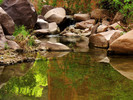 photo thumbnail #10