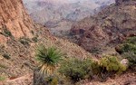 photo thumbnail #6
