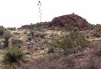 photo thumbnail #7