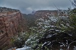photo thumbnail #3