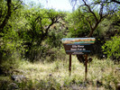 photo thumbnail #14