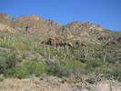 photo thumbnail #3