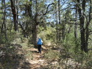 photo thumbnail #8