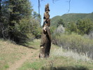 photo thumbnail #9