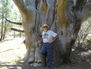 photo thumbnail #11