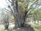 photo thumbnail #12