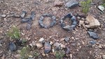 photo thumbnail #5