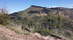 photo thumbnail #9