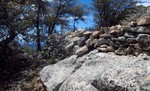 photo thumbnail #3