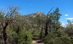 photo thumbnail #5