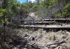 photo thumbnail #11