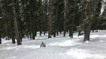 photo thumbnail #9